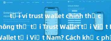 tải ví trust wallet chính thức từ ch play Không thể tải Trust Wallet tại Việt Nam? Cách khắc phục